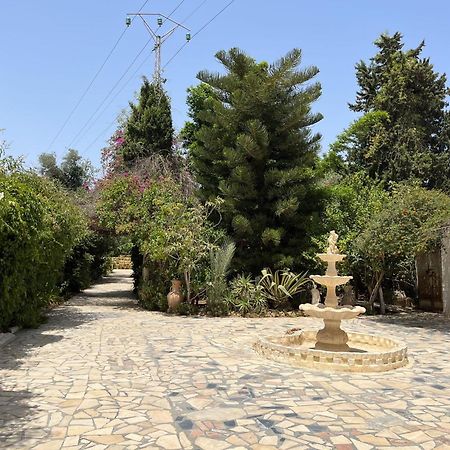 Dar Beldi Hotel Hammamet Buitenkant foto