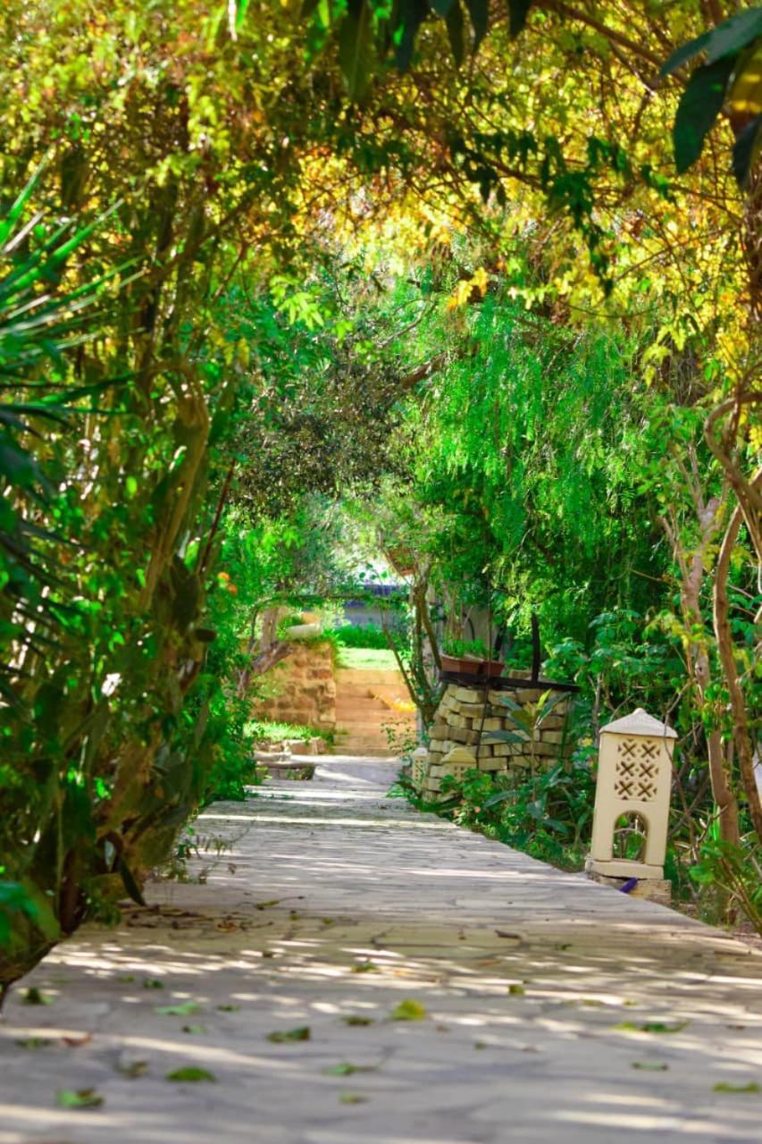 Dar Beldi Hotel Hammamet Buitenkant foto